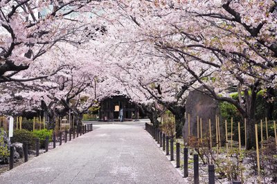 🏞️ 겐지산 공원(겐지야마 코엔)